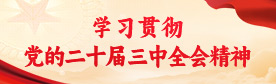 学习贯彻党的二十届三中全会精神